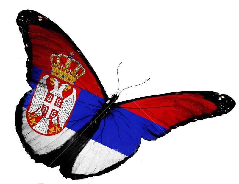 dan drzavnosti1