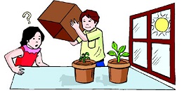 science fair projects for kids growing plants